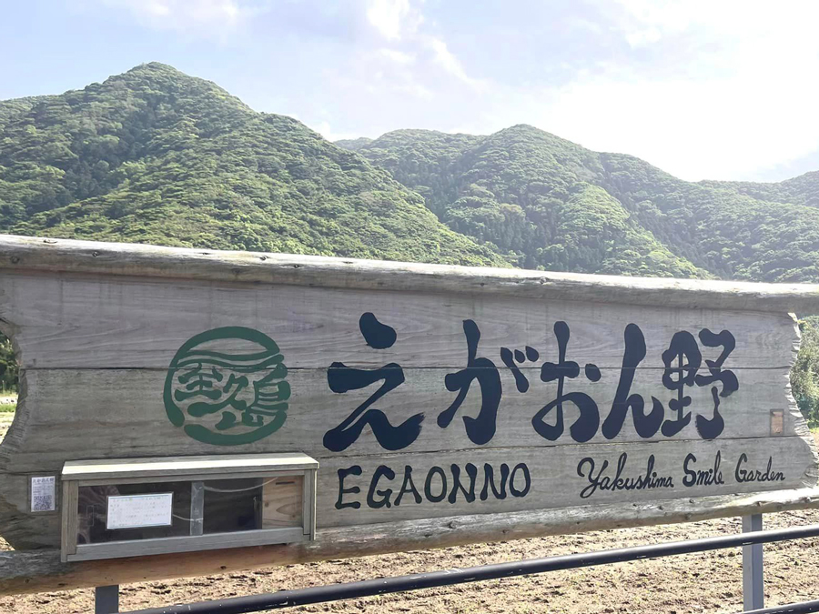 屋久島 えがおの野 Yakushima Smile Garden 令和5年4月16日