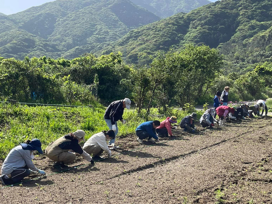 屋久島 えがおの野 Yakushima Smile Garden 令和5年4月16日