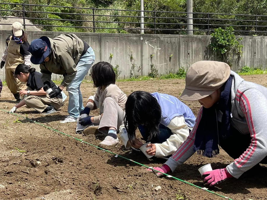 屋久島 えがおの野 Yakushima Smile Garden 令和5年4月16日