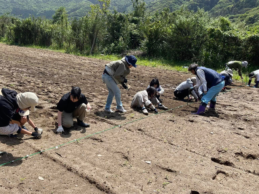 屋久島 えがおの野 Yakushima Smile Garden 令和5年4月16日