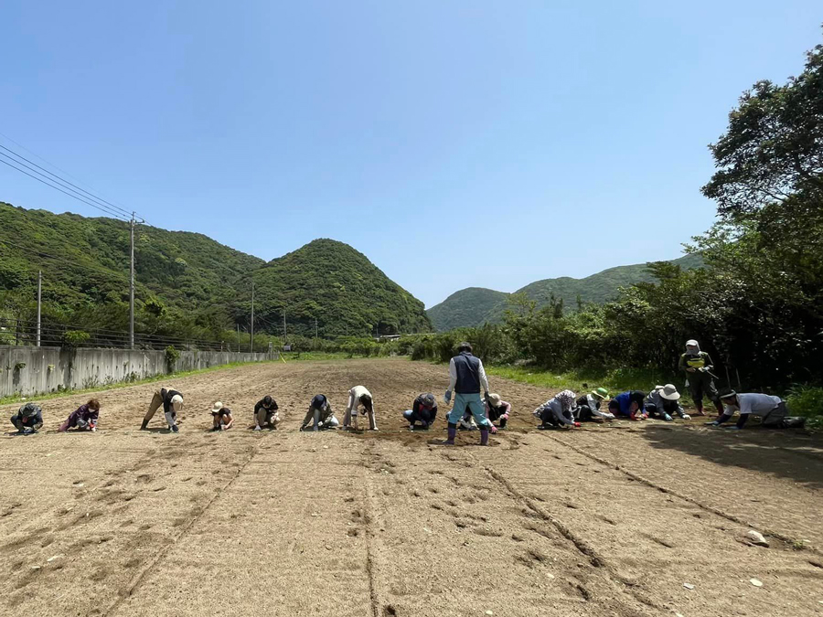 屋久島 えがおの野 Yakushima Smile Garden 令和5年4月16日