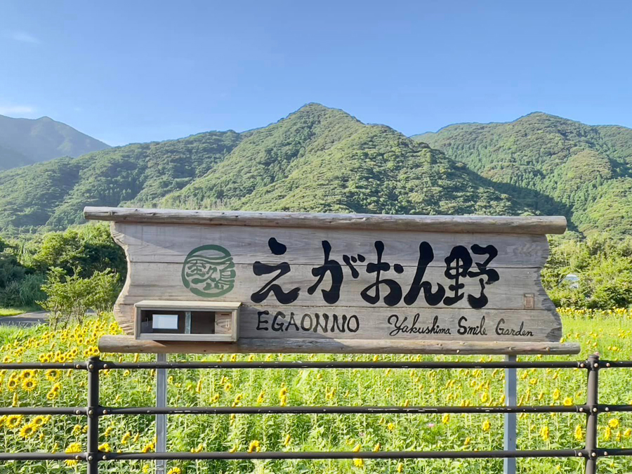 屋久島 えがおの野 Yakushima Smile Garden 令和5年6月29日