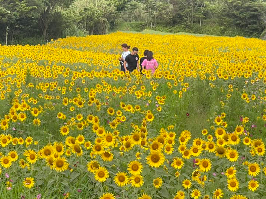 屋久島 えがおの野 Yakushima Smile Garden 令和5年7月3日