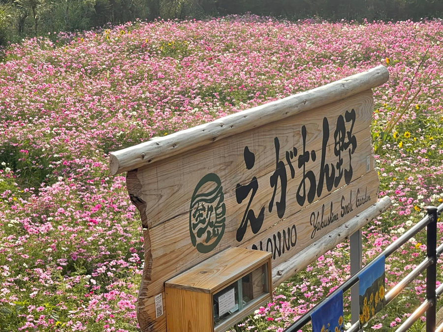 屋久島 えがおの野 Yakushima Smile Garden 令和5年9月4日