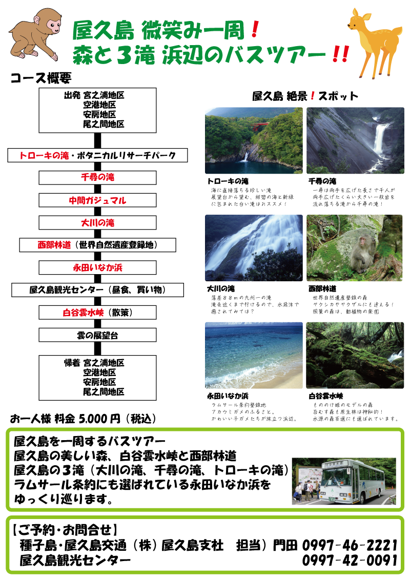 屋久島 微笑み一周！森と３滝 浜辺のバスツアー！！