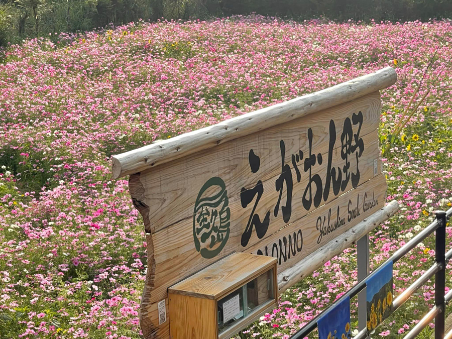 屋久島 えがおの野 Yakushima Smile Garden